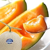 Amazon.co.jp: 北海道産 富良野メロン 1玉入り (共撰 秀品/1玉